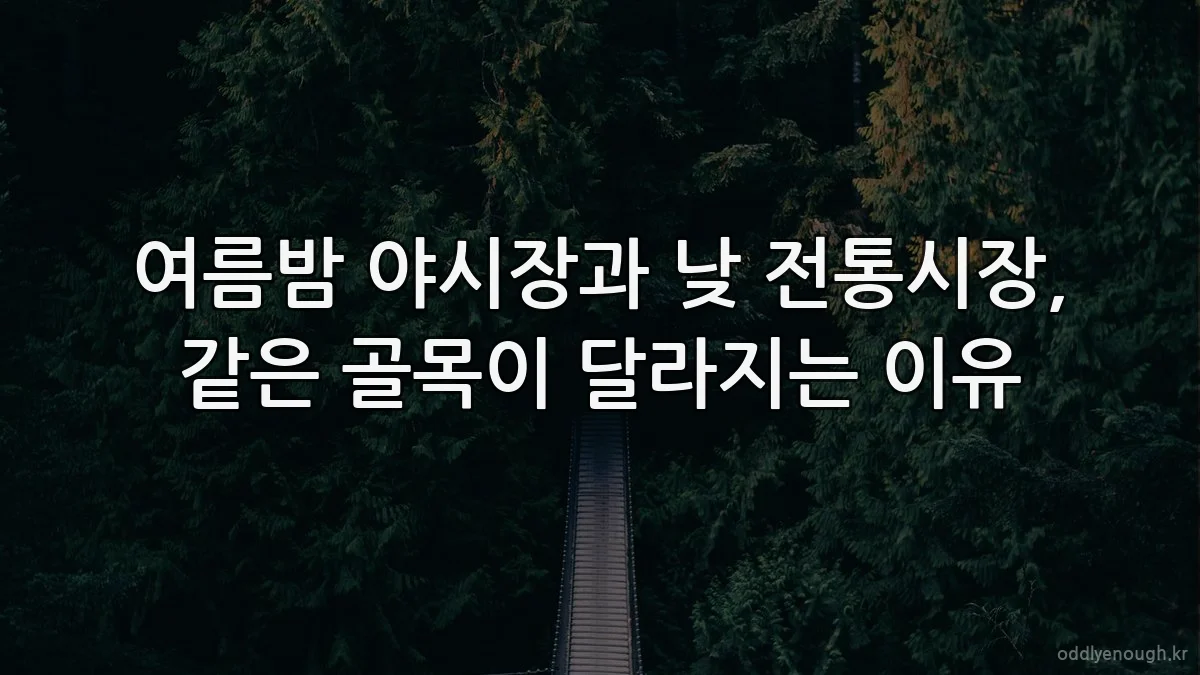 여름밤 야시장과 낮 전통시장, 같은 골목이 달라지는 이유