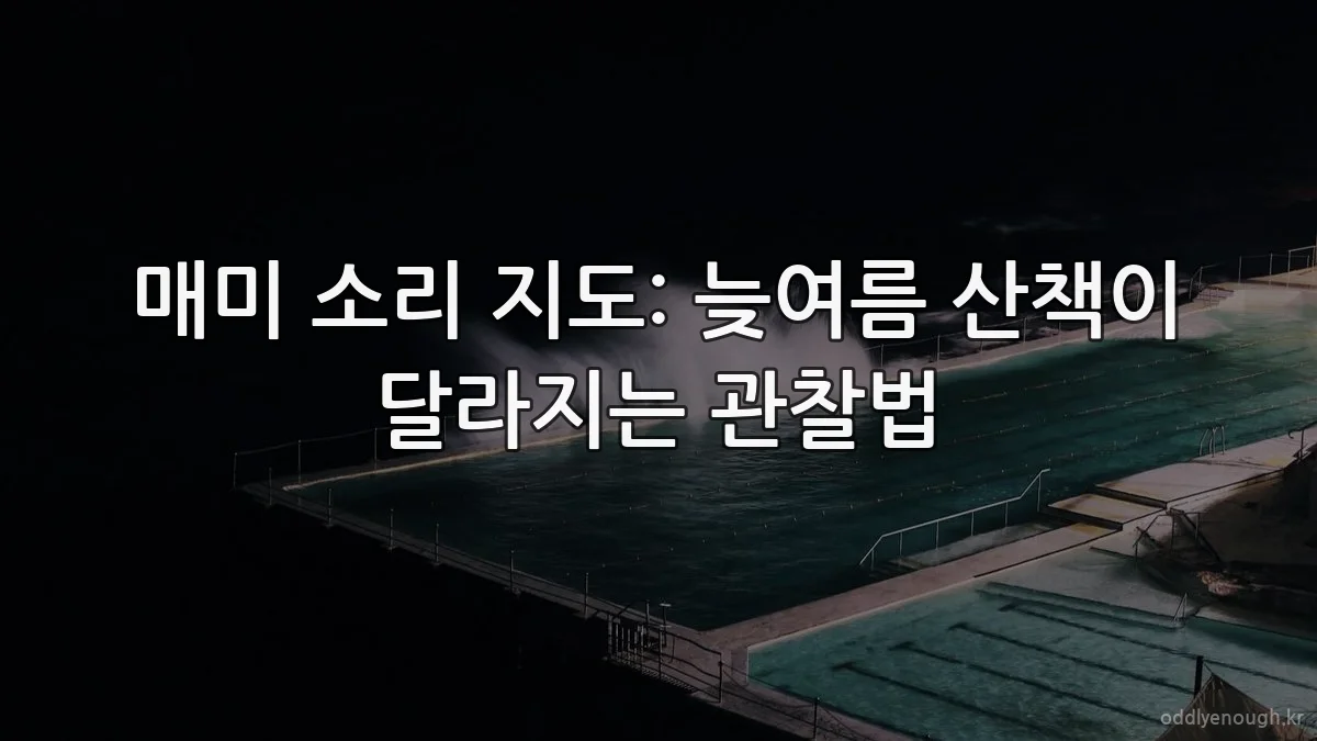 매미 소리 지도: 늦여름 산책이 달라지는 관찰법