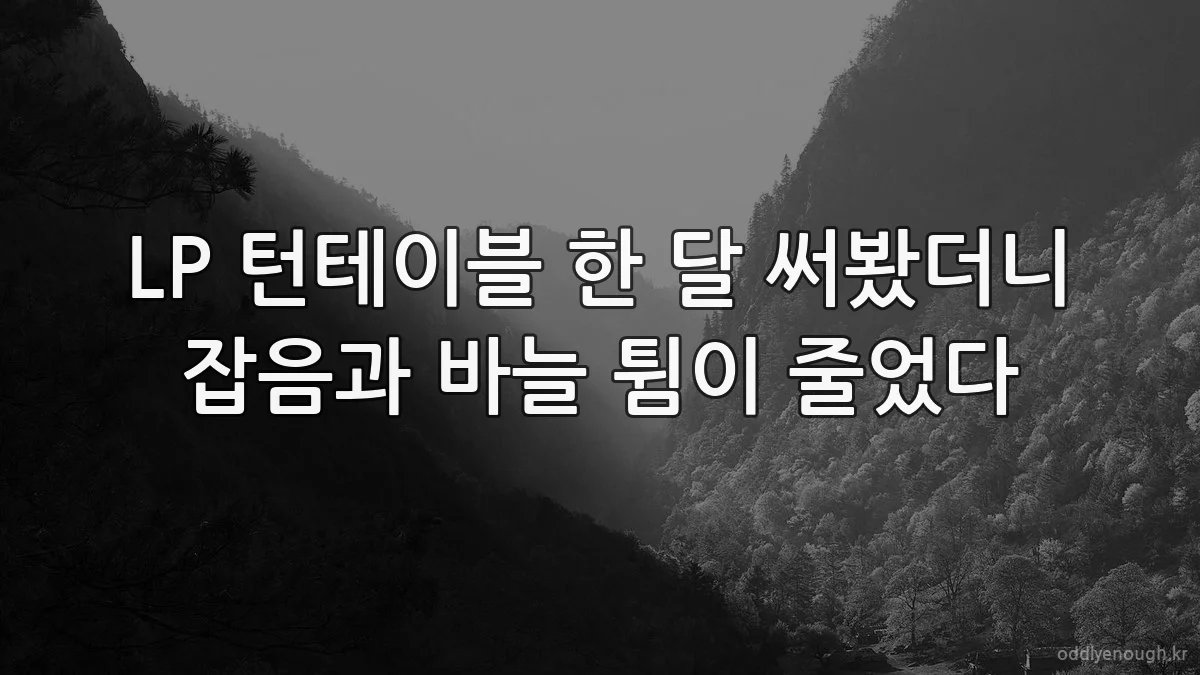 LP 턴테이블 한 달 써봤더니 잡음과 바늘 튐이 줄었다