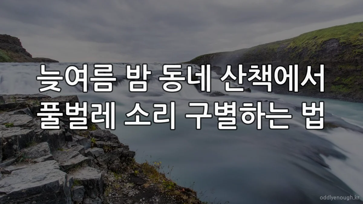 늦여름 밤 동네 산책에서 풀벌레 소리 구별하는 법