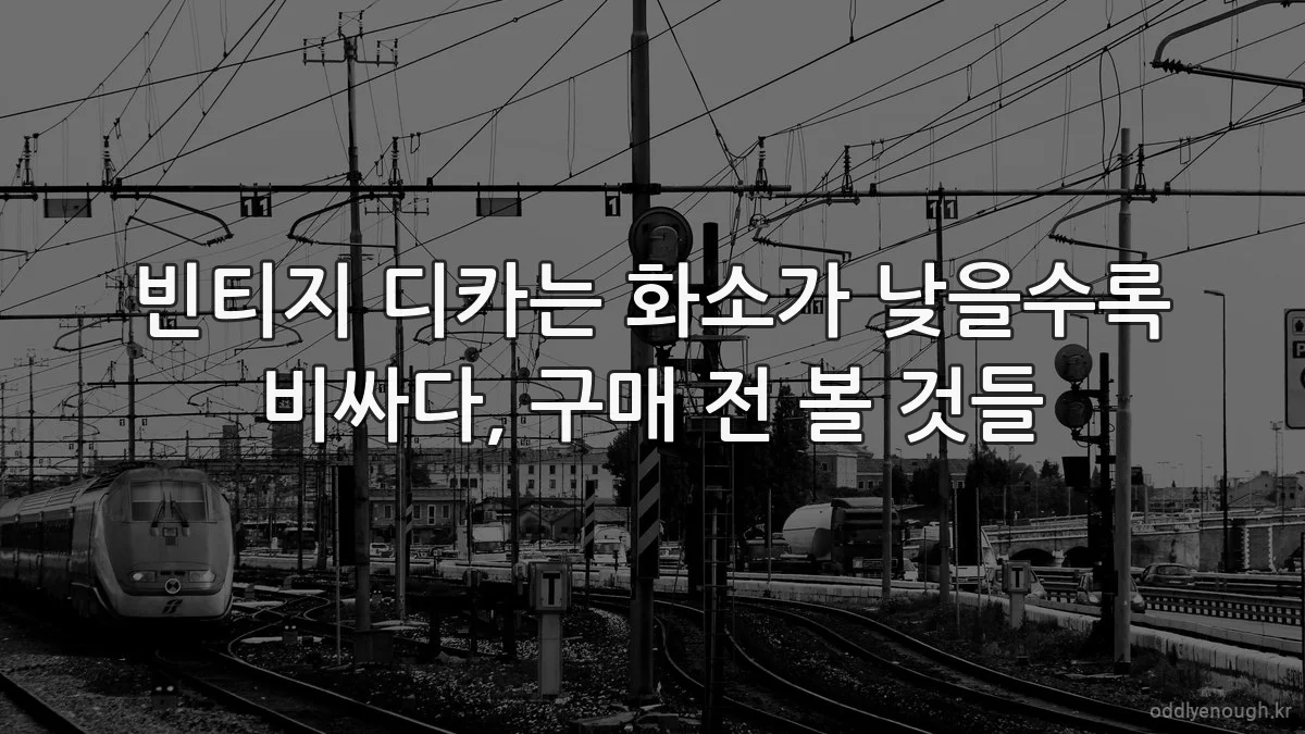 빈티지 디카는 화소가 낮을수록 비싸다, 구매 전 볼 것들