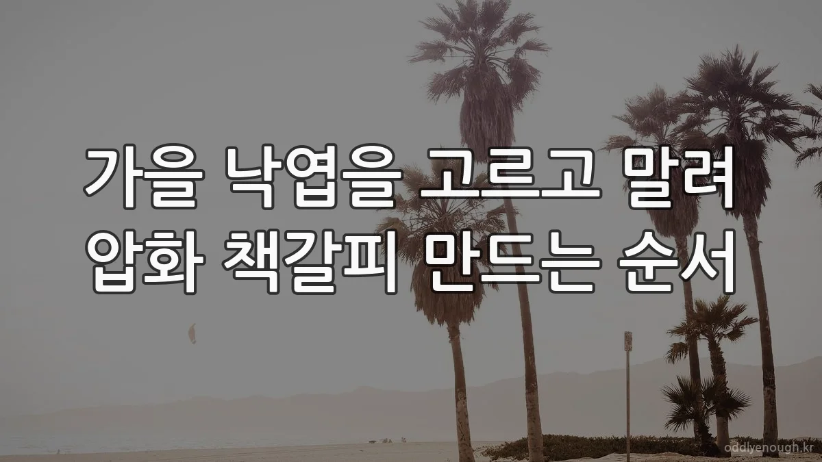가을 낙엽을 고르고 말려 압화 책갈피 만드는 순서