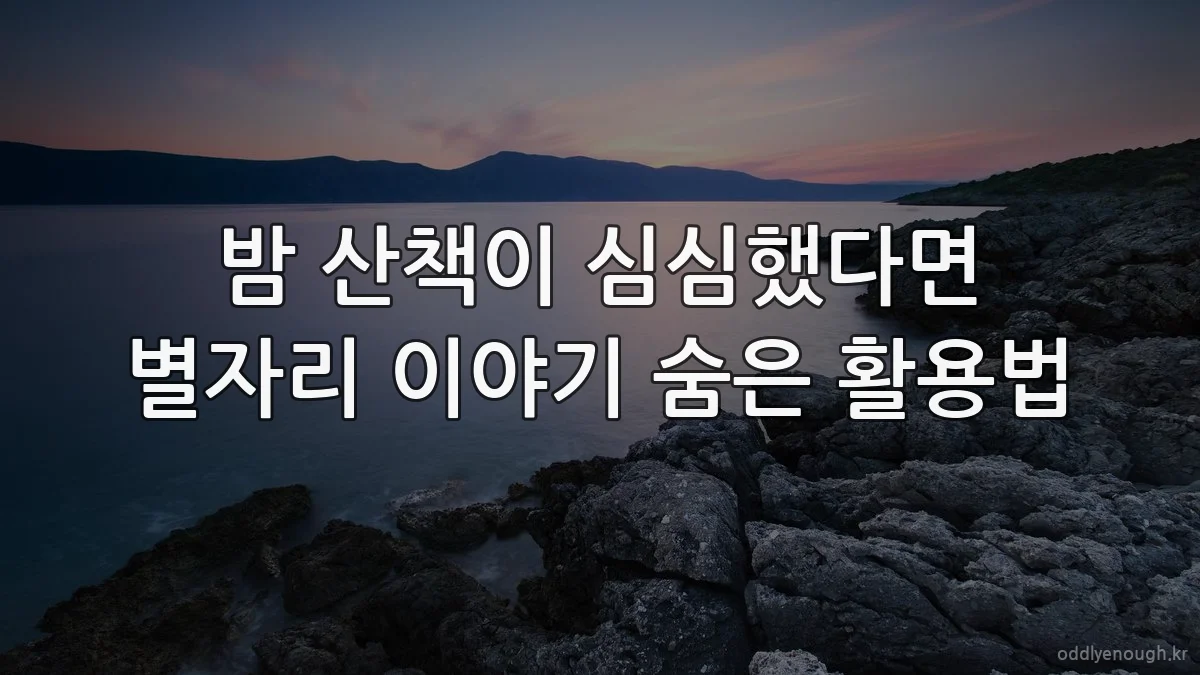 밤 산책이 심심했다면 별자리 이야기 숨은 활용법
