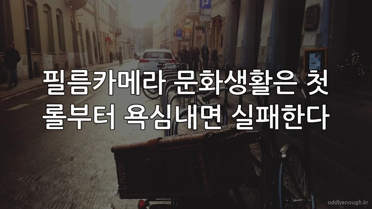 필름카메라 문화생활은 첫 롤부터 욕심내면 실패한다