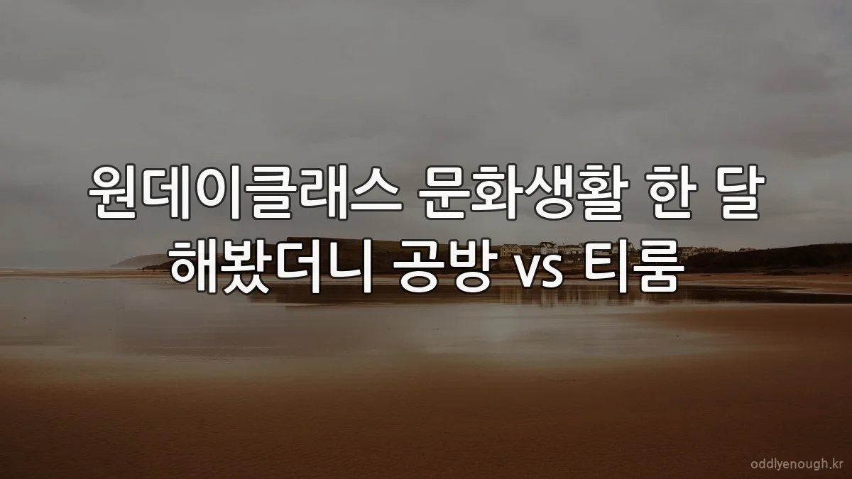원데이클래스 문화생활 한 달 해봤더니 공방 vs 티룸