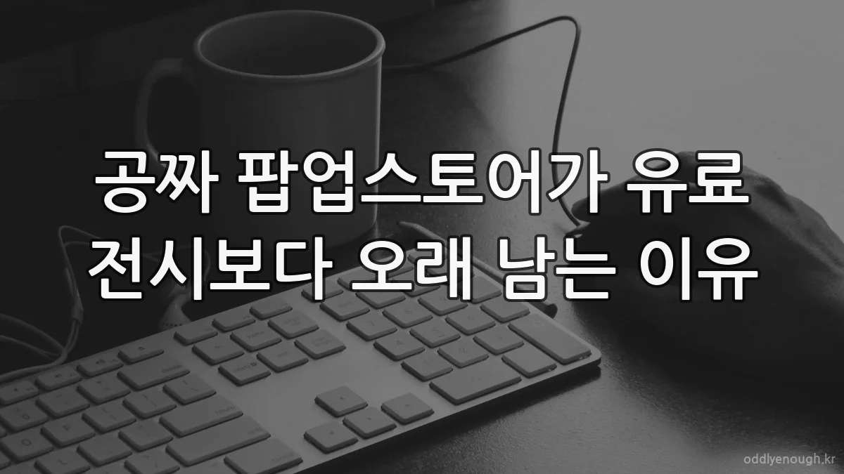 공짜 팝업스토어가 유료 전시보다 오래 남는 이유