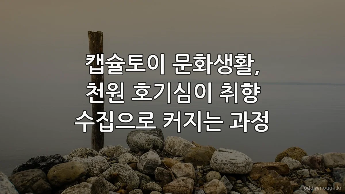 캡슐토이 문화생활, 천원 호기심이 취향 수집으로 커지는 과정