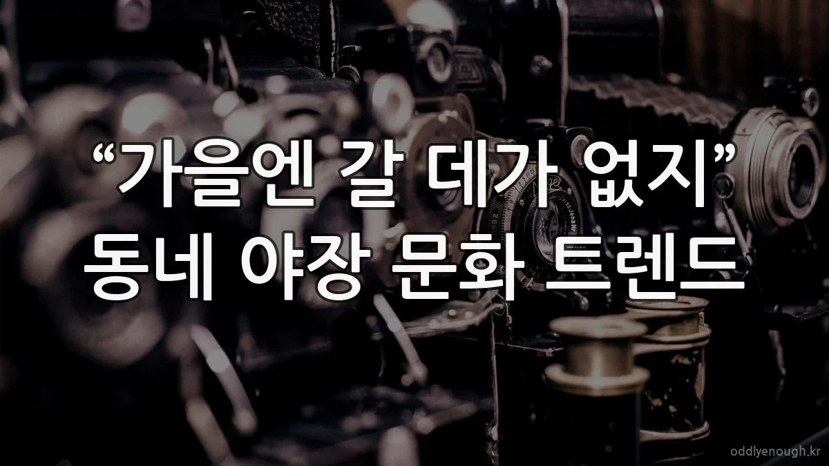 “가을엔 갈 데가 없지” 동네 야장 문화 트렌드