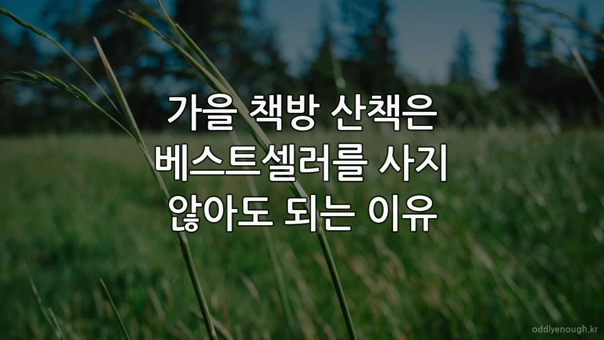 가을 책방 산책은 베스트셀러를 사지 않아도 되는 이유