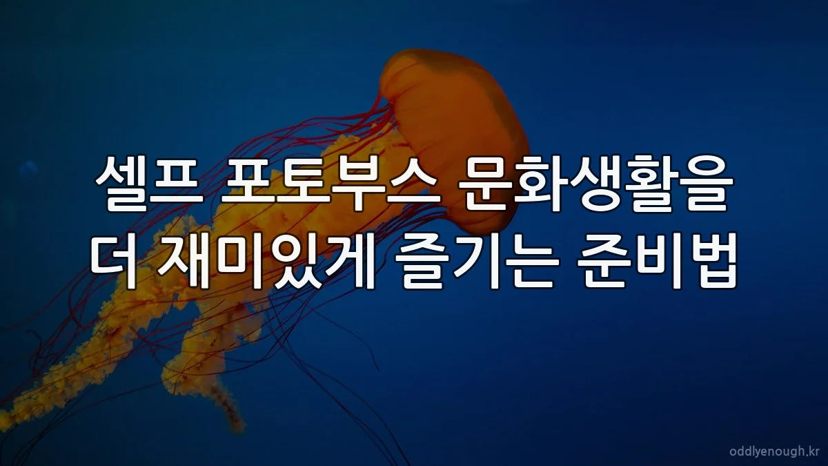 셀프 포토부스 문화생활을 더 재미있게 즐기는 준비법