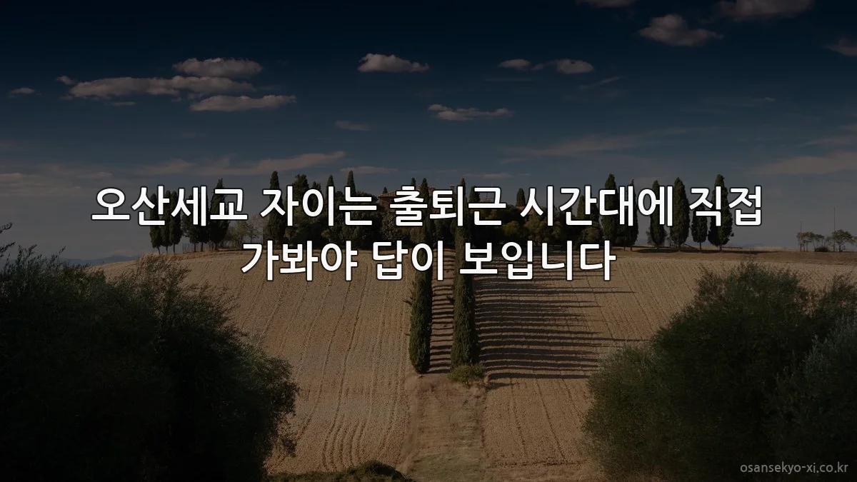 오산세교 자이는 출퇴근 시간대에 직접 가봐야 답이 보입니다