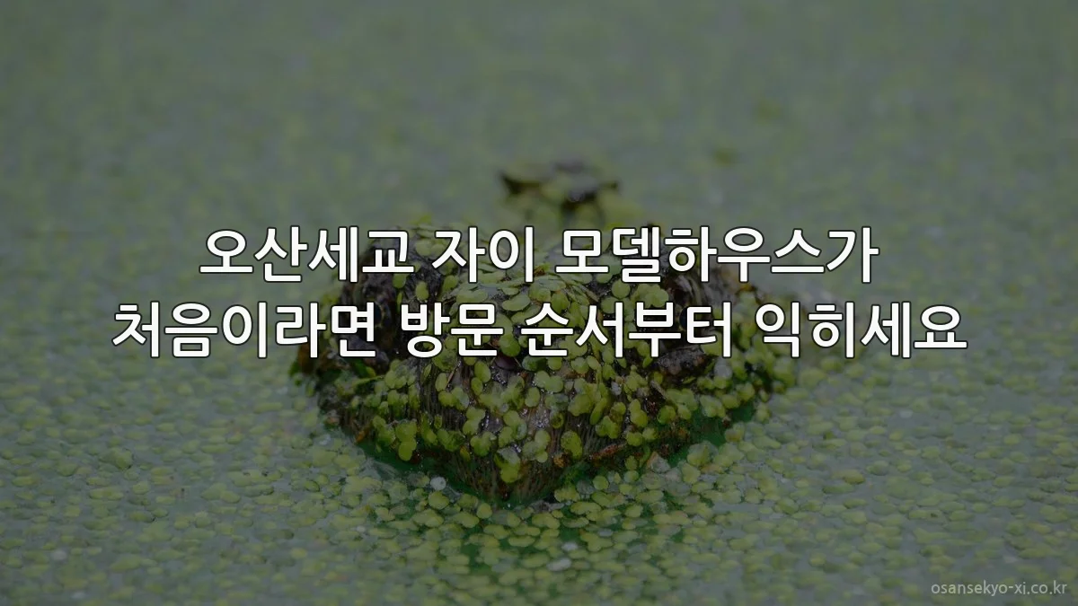 오산세교 자이 모델하우스가 처음이라면 방문 순서부터 익히세요