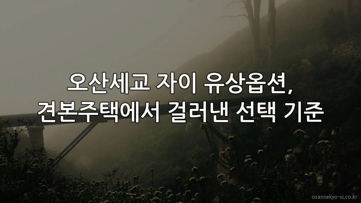 오산세교 자이 유상옵션, 견본주택에서 걸러낸 선택 기준