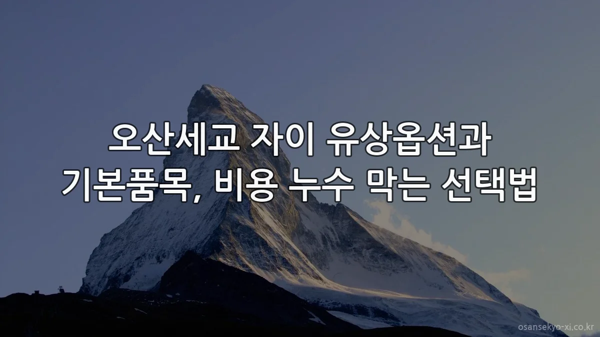 오산세교 자이 유상옵션과 기본품목, 비용 누수 막는 선택법