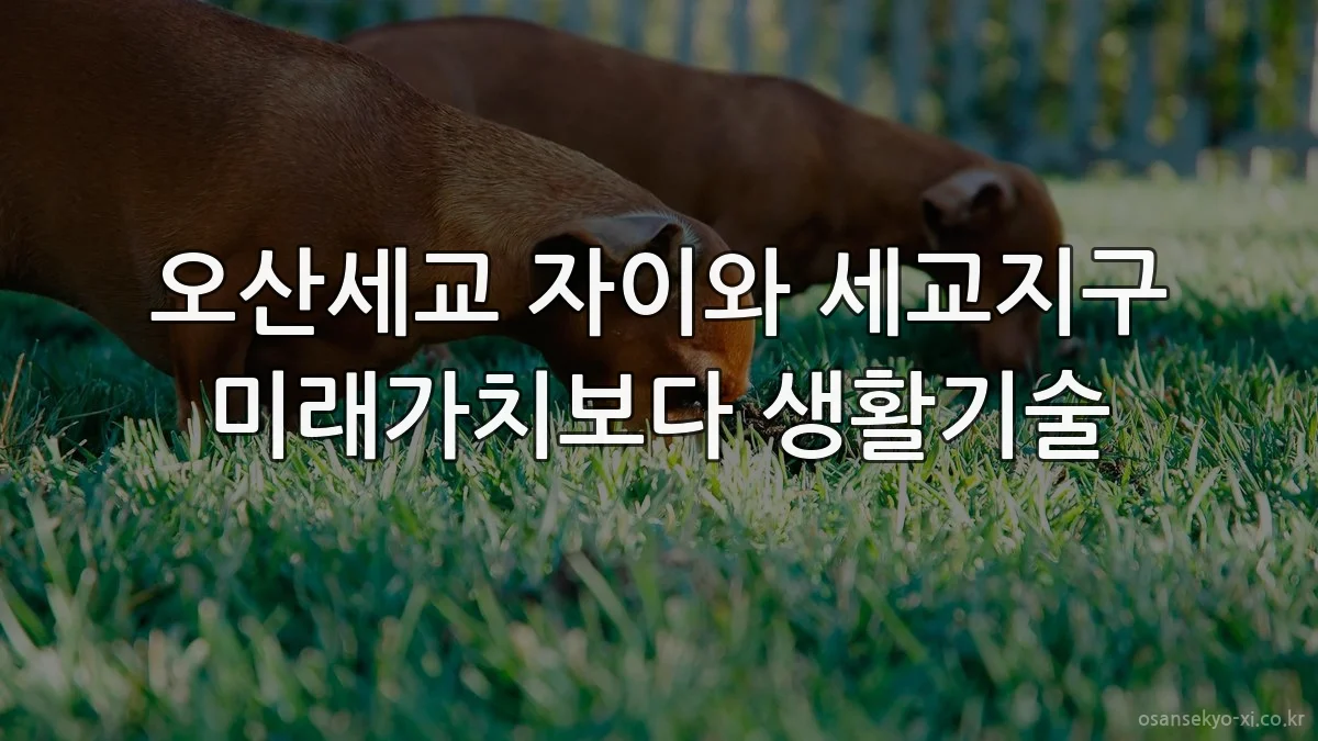 오산세교 자이와 세교지구 미래가치보다 생활기술