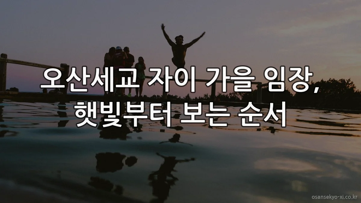 오산세교 자이 가을 임장, 햇빛부터 보는 순서