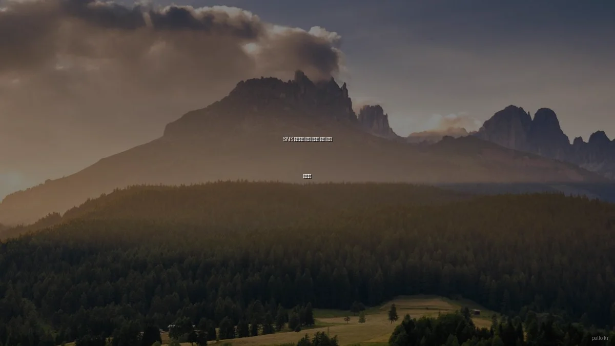 SNS 마케팅을 위한 팔로워 관리 기초 가이드