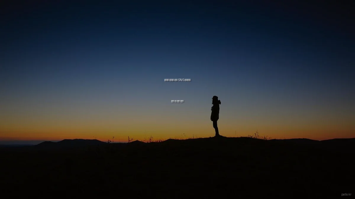 팔로워 증가를 위한 SNS 알고리즘 이해 및 활용 전략