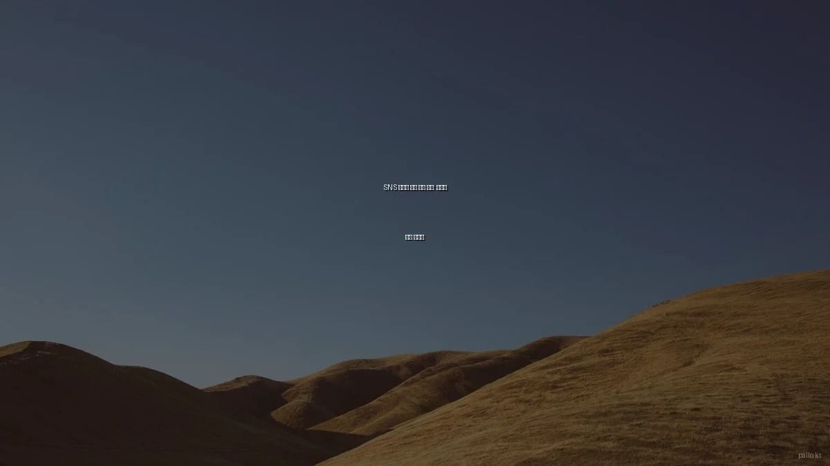 SNS 마케팅 도구 비교 분석: 효율적 전략 선택법