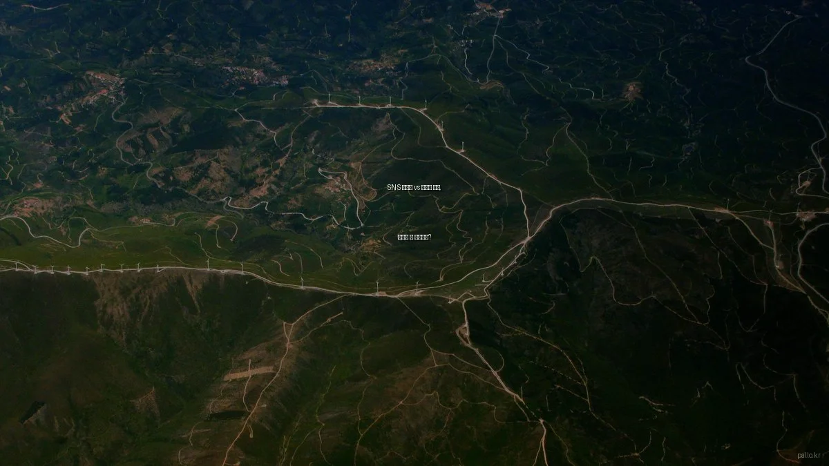 SNS 마케팅 vs 팔로워 관리, 무엇이 더 중요한가?