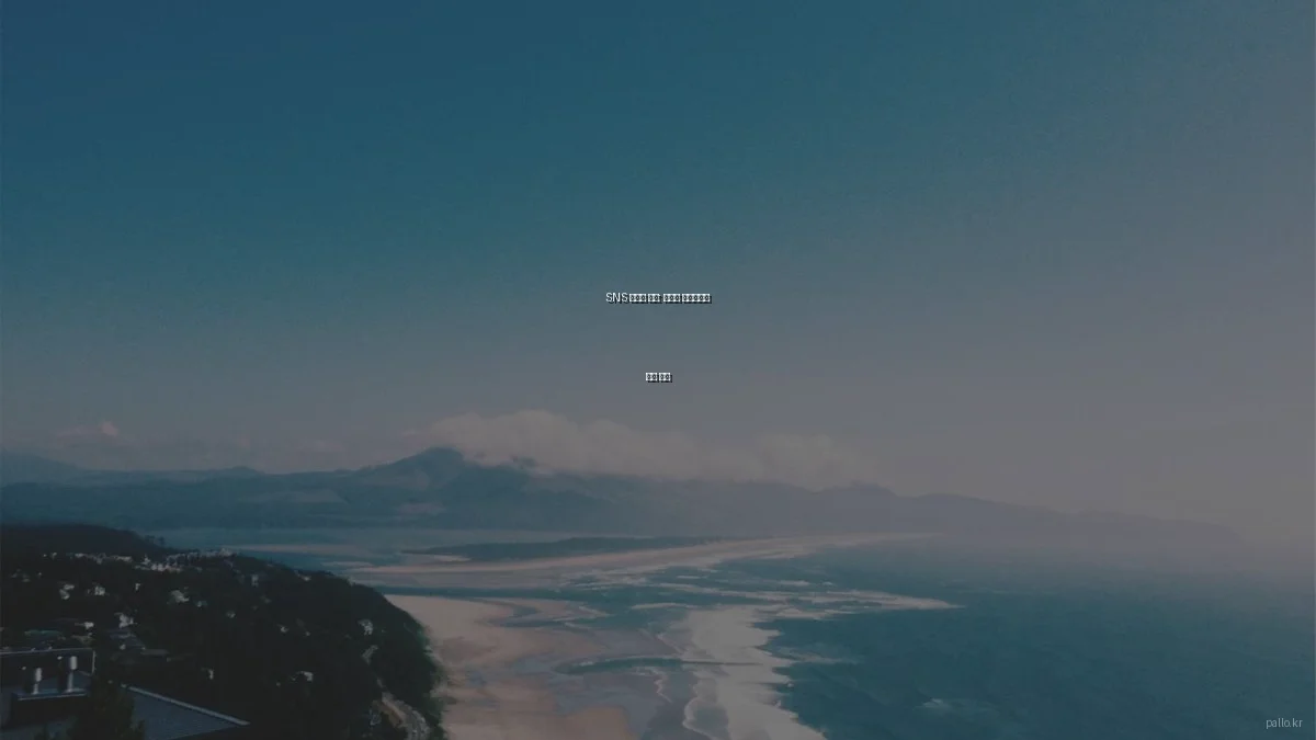 SNS 마케팅 꿀팁: 팔로워 기하급수적 증가 비법