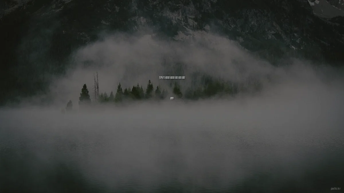 SNS 마케팅 솔루션 팔로 실제 사용 후기