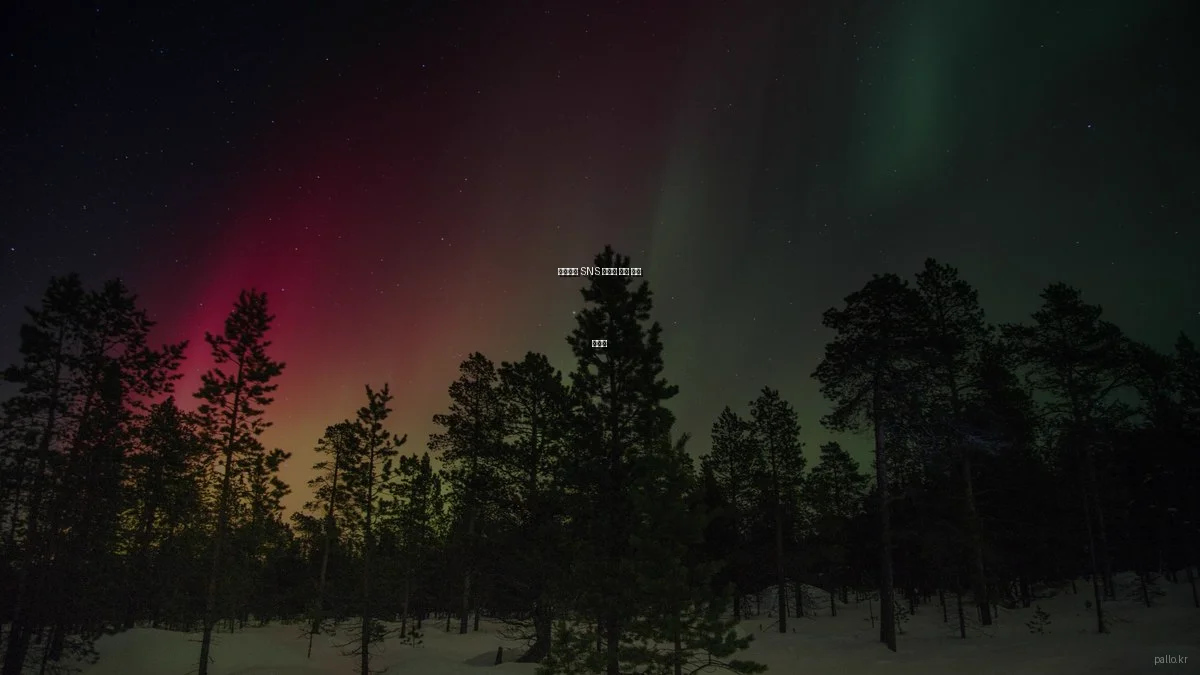 효과적인 SNS 팔로워 관리 꿀팁 모음집