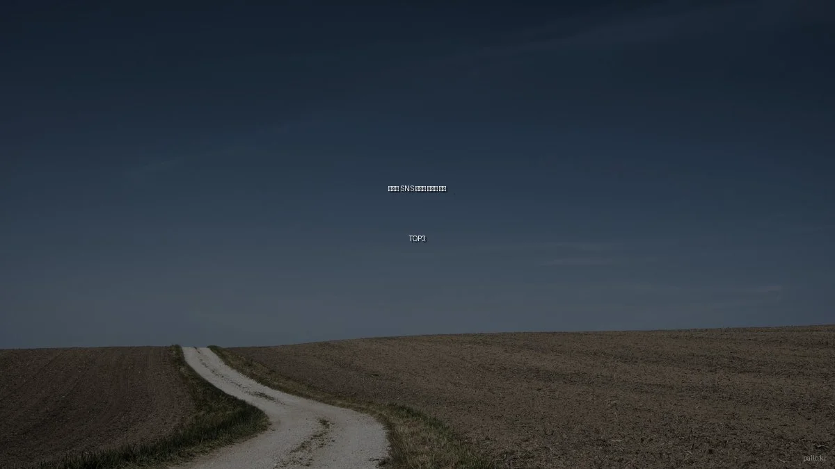 예산별 SNS 마케팅 플랫폼 추천 TOP3