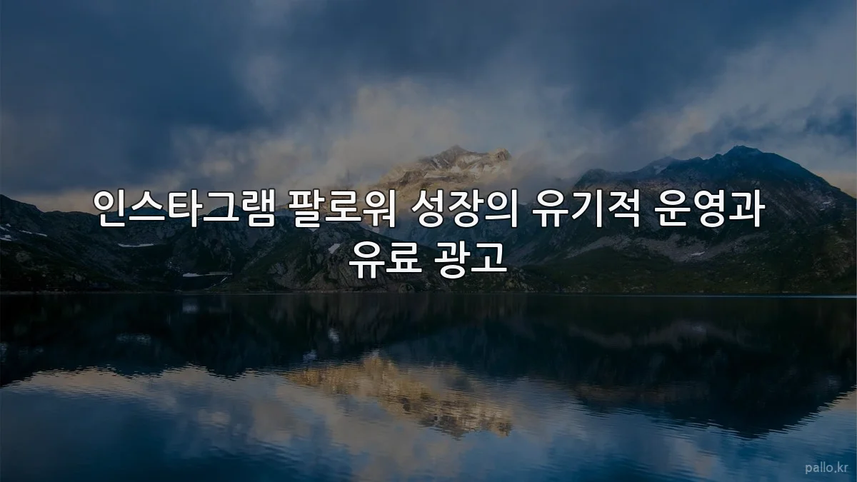 인스타그램 팔로워 성장의 유기적 운영과 유료 광고