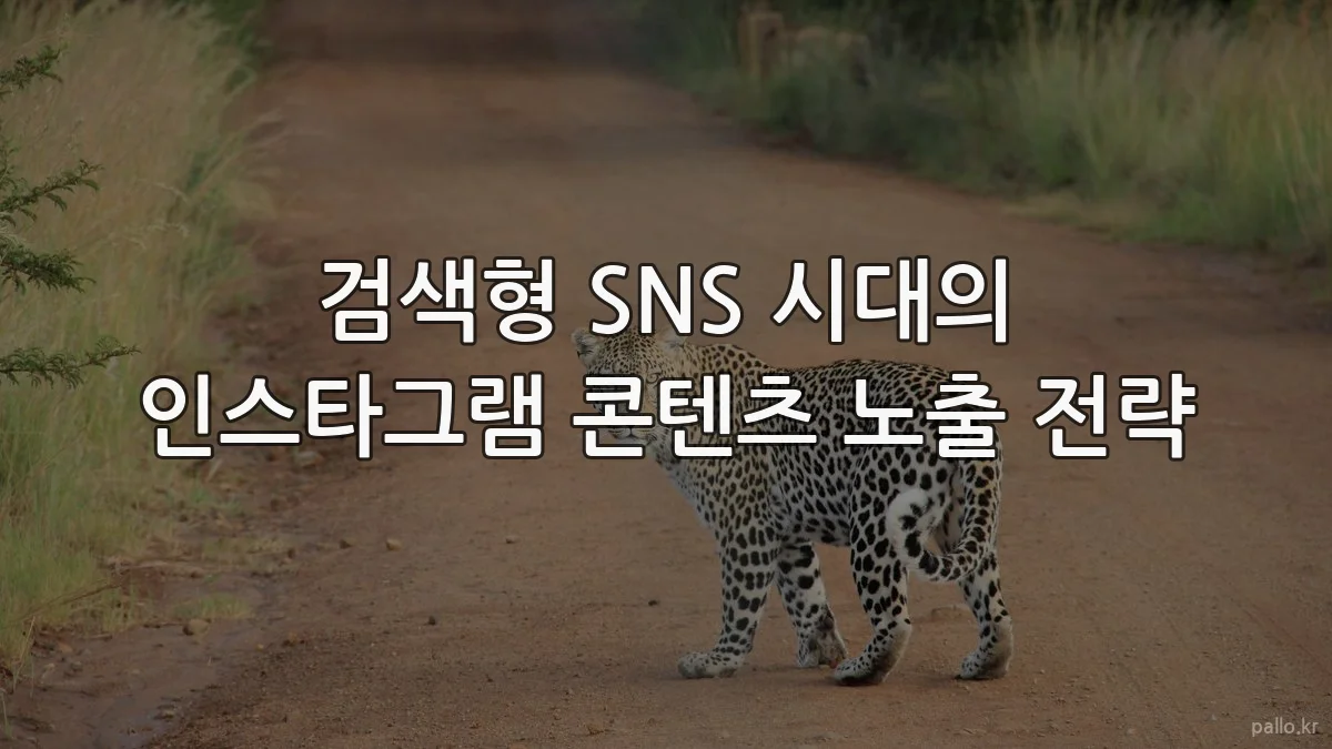 검색형 SNS 시대의 인스타그램 콘텐츠 노출 전략