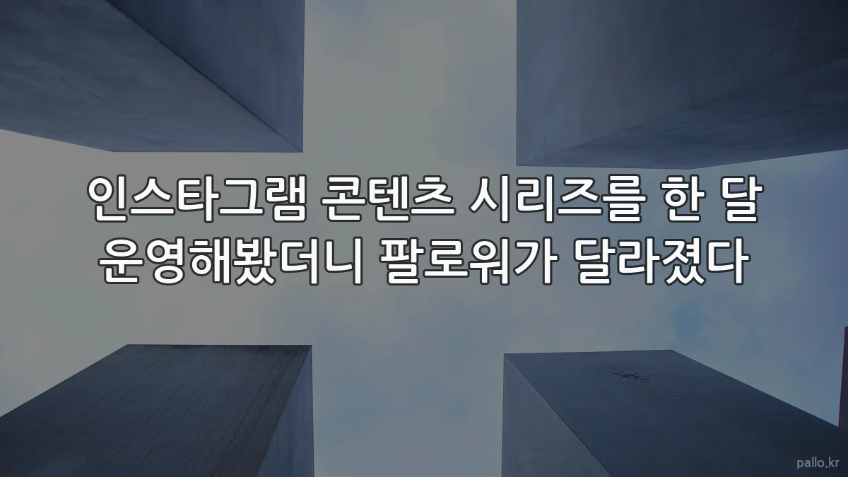 인스타그램 콘텐츠 시리즈를 한 달 운영해봤더니 팔로워가 달라졌다