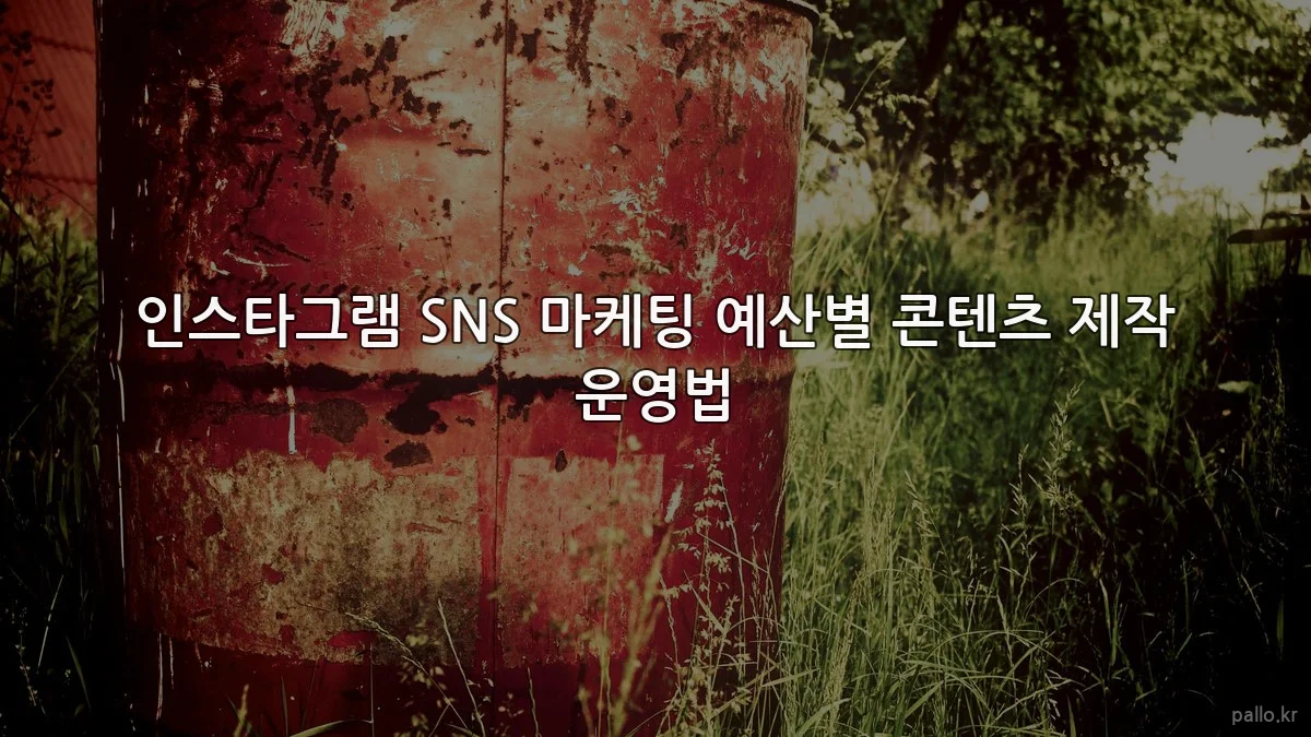 인스타그램 SNS 마케팅 예산별 콘텐츠 제작 운영법