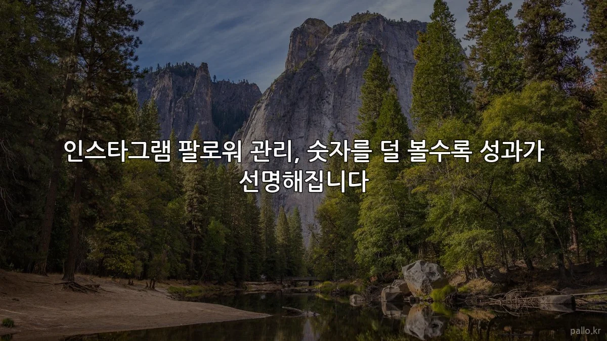 인스타그램 팔로워 관리, 숫자를 덜 볼수록 성과가 선명해집니다