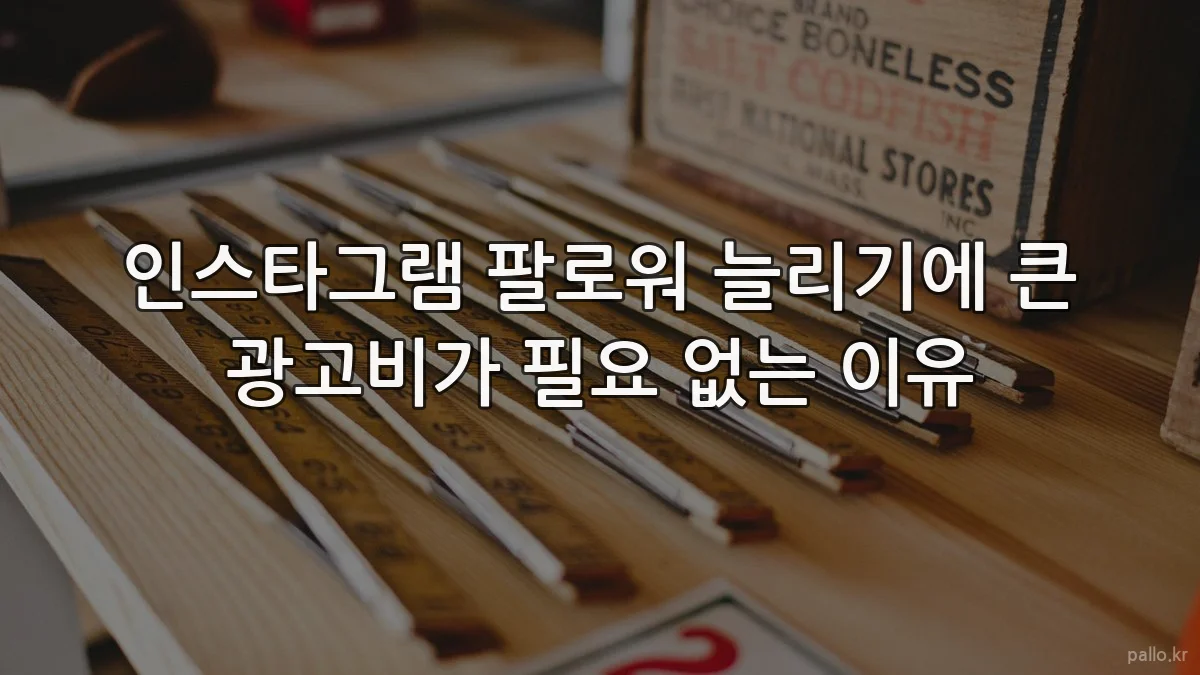 인스타그램 팔로워 늘리기에 큰 광고비가 필요 없는 이유