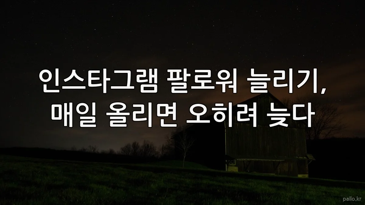 인스타그램 팔로워 늘리기, 매일 올리면 오히려 늦다