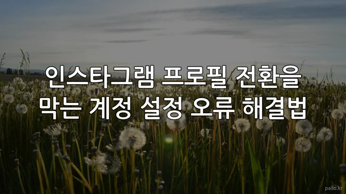 인스타그램 프로필 전환을 막는 계정 설정 오류 해결법