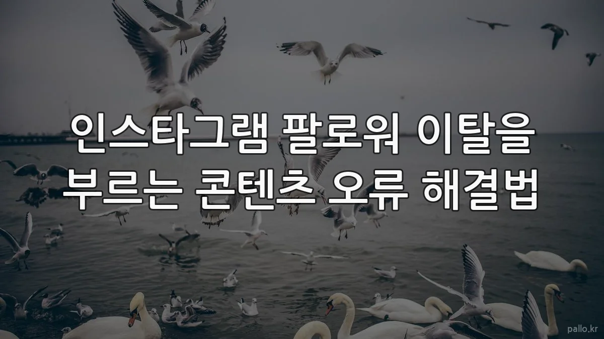 인스타그램 팔로워 이탈을 부르는 콘텐츠 오류 해결법