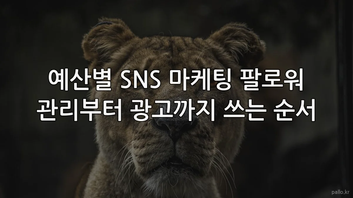 예산별 SNS 마케팅 팔로워 관리부터 광고까지 쓰는 순서