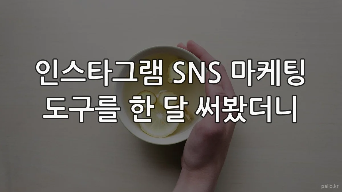 인스타그램 SNS 마케팅 도구를 한 달 써봤더니