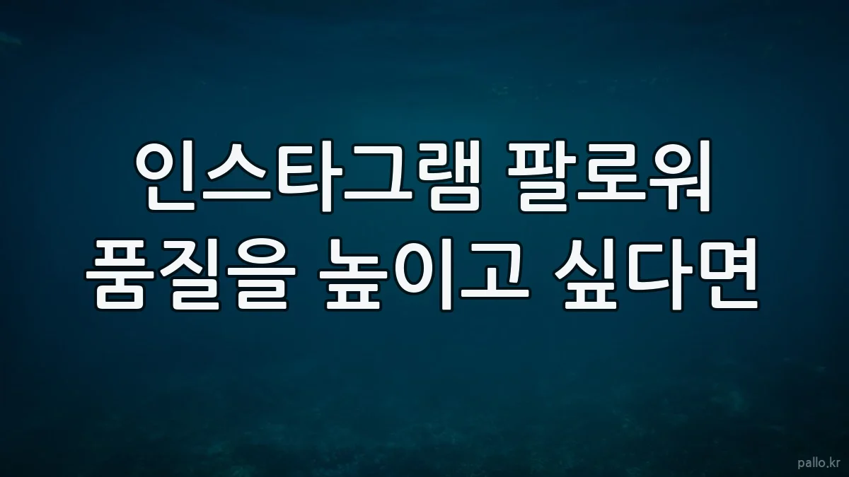 인스타그램 팔로워 품질을 높이고 싶다면