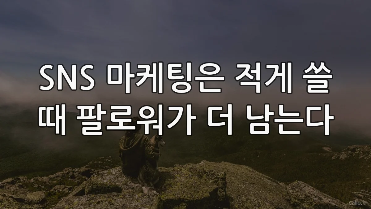 SNS 마케팅은 적게 쓸 때 팔로워가 더 남는다