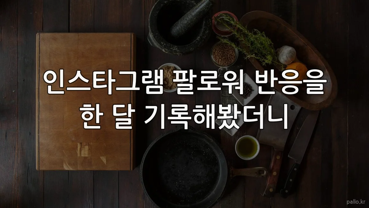 인스타그램 팔로워 반응을 한 달 기록해봤더니