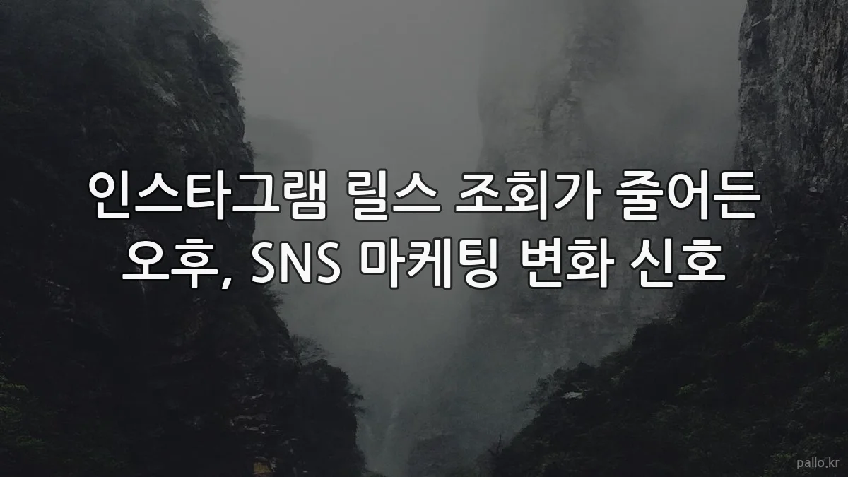 인스타그램 릴스 조회가 줄어든 오후, SNS 마케팅 변화 신호