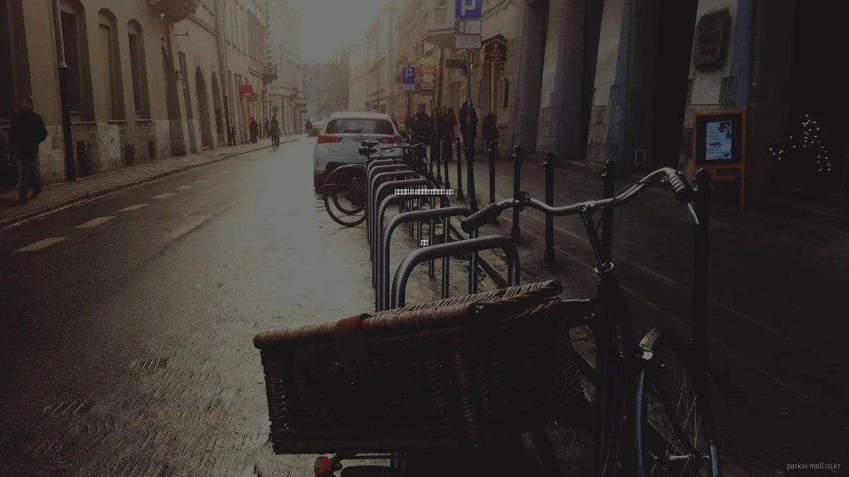 파크자이 몰 상가분양 전문가의 알짜 조언