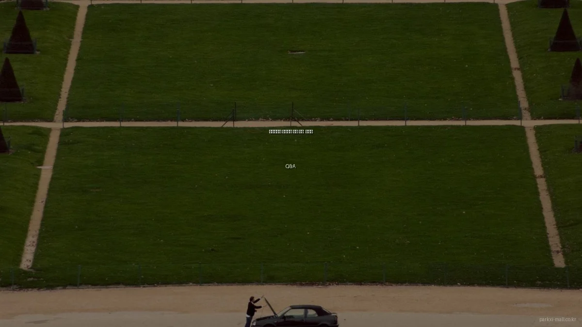 파크자이몰 상가분양 성공 전략: 전문가 Q&A