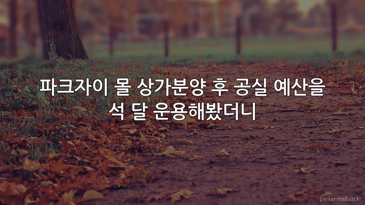 파크자이 몰 상가분양 후 공실 예산을 석 달 운용해봤더니