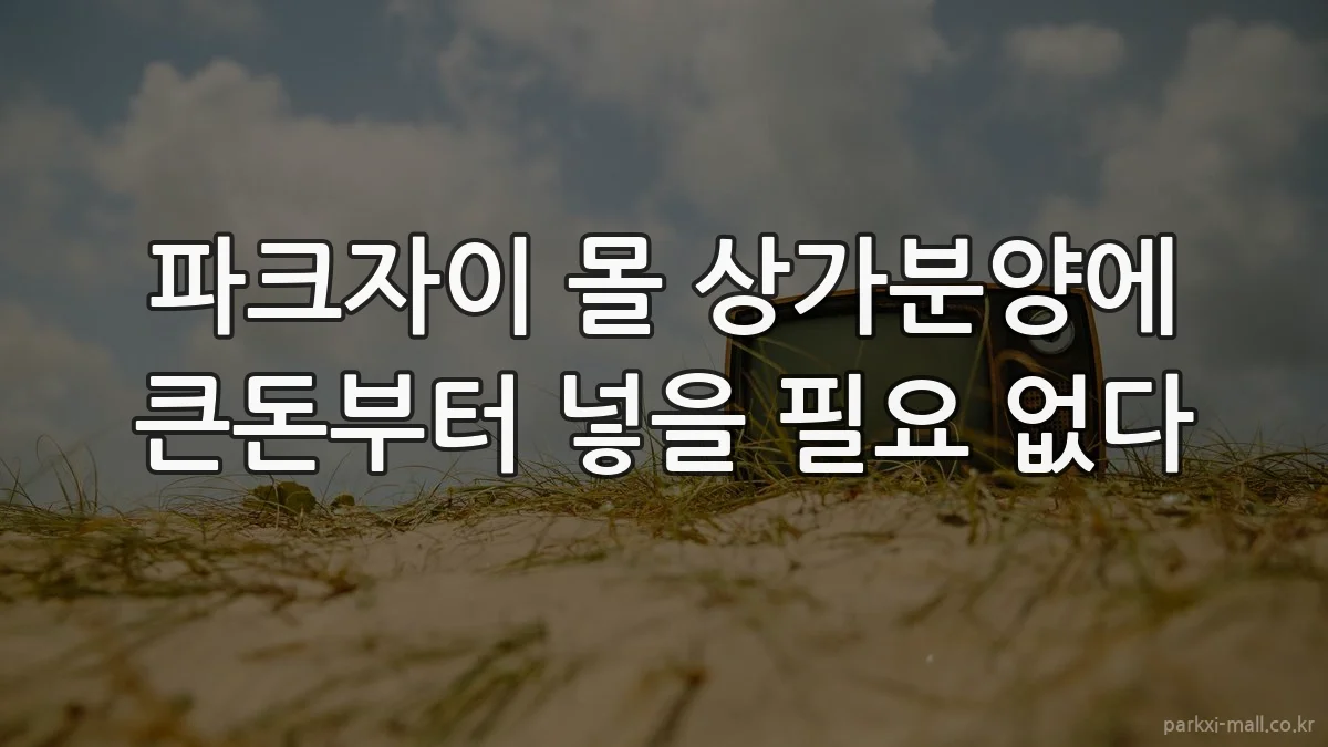 파크자이 몰 상가분양에 큰돈부터 넣을 필요 없다