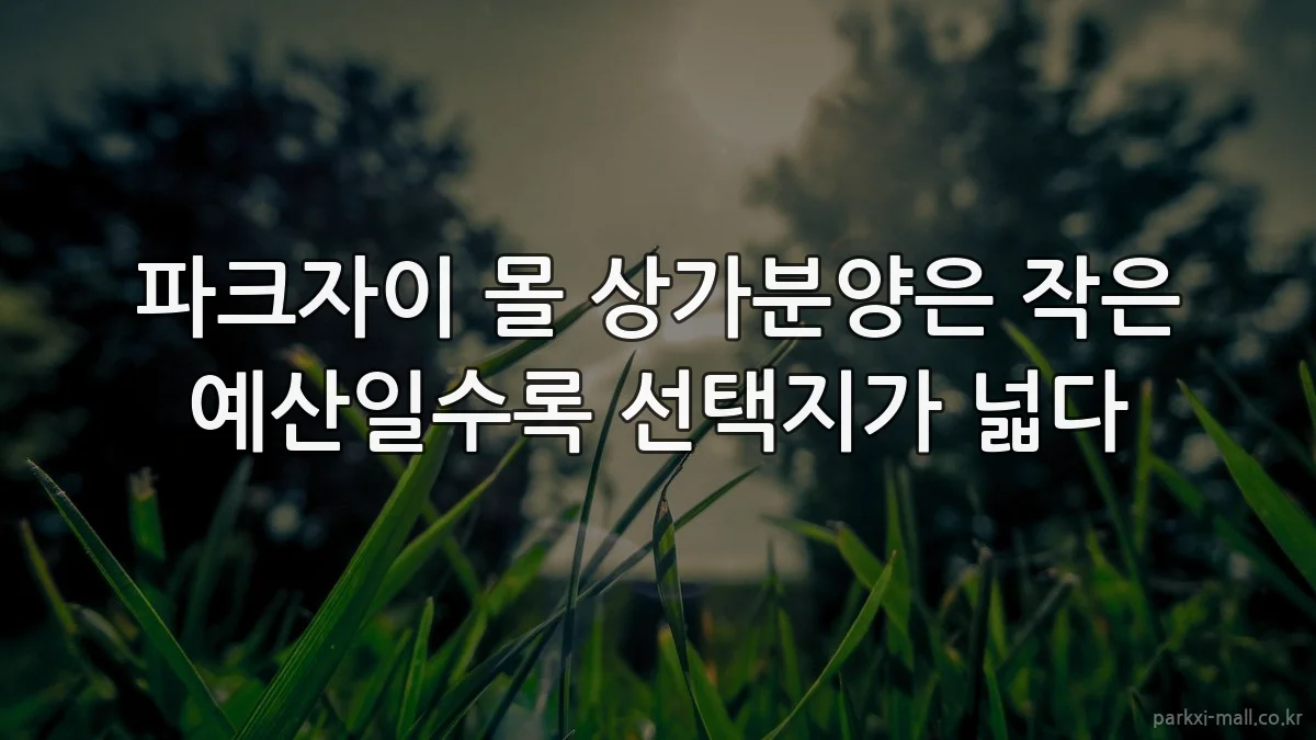 파크자이 몰 상가분양은 작은 예산일수록 선택지가 넓다
