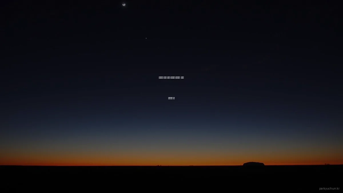 박유천 팬을 위한 초보자 가이드: 필수 정보와 팁