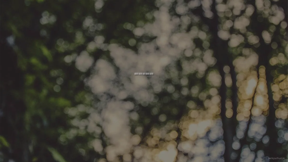 봄맞이 박유천 작품 정주행 가이드